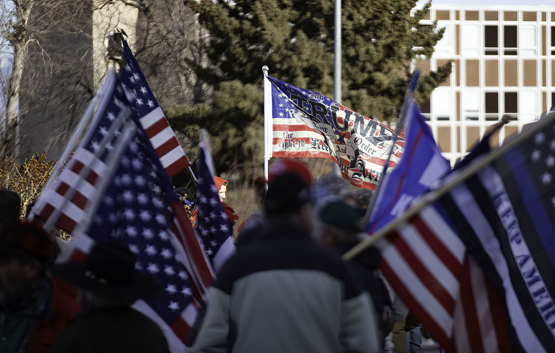 Stop the Steal Protest
